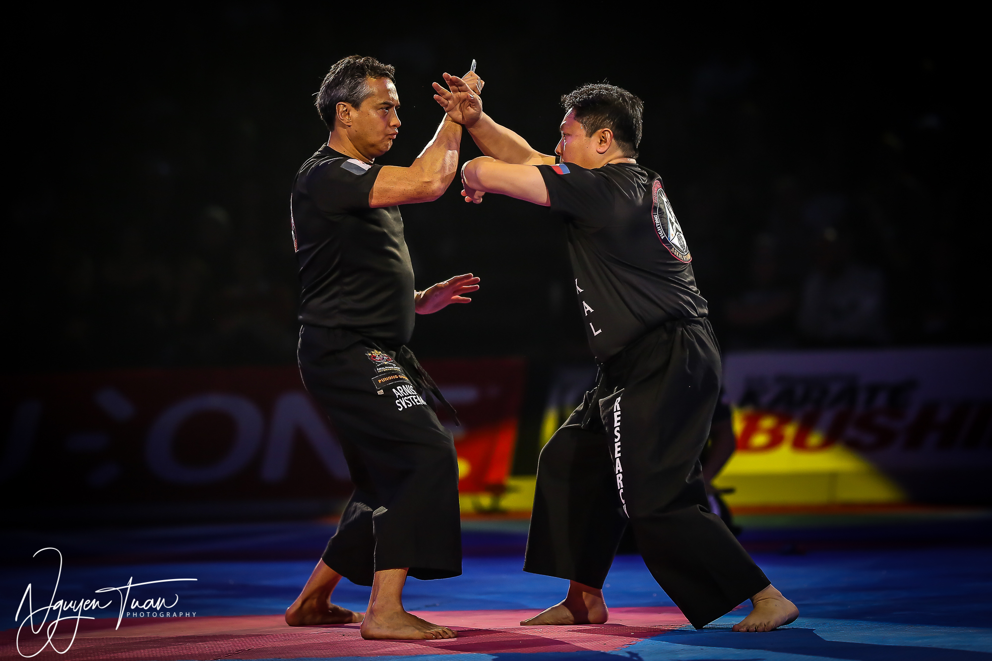 20190324 Festival des Arts Martiaux 4870